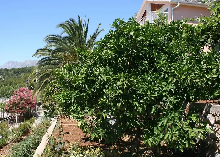 With Parking Space Podaca, Makarska - 6798 Daire
